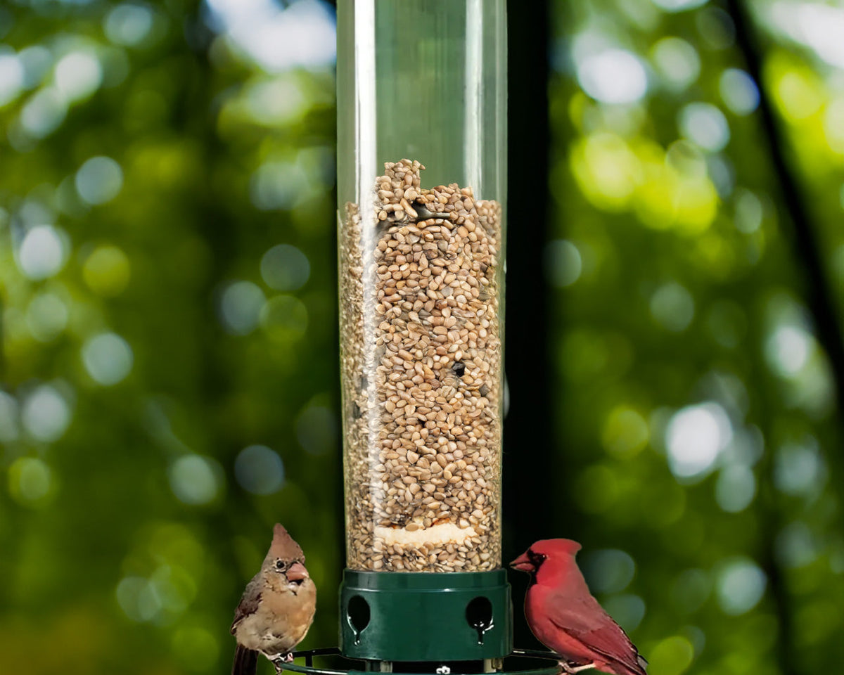 Squirrel Proof Bird Feeder