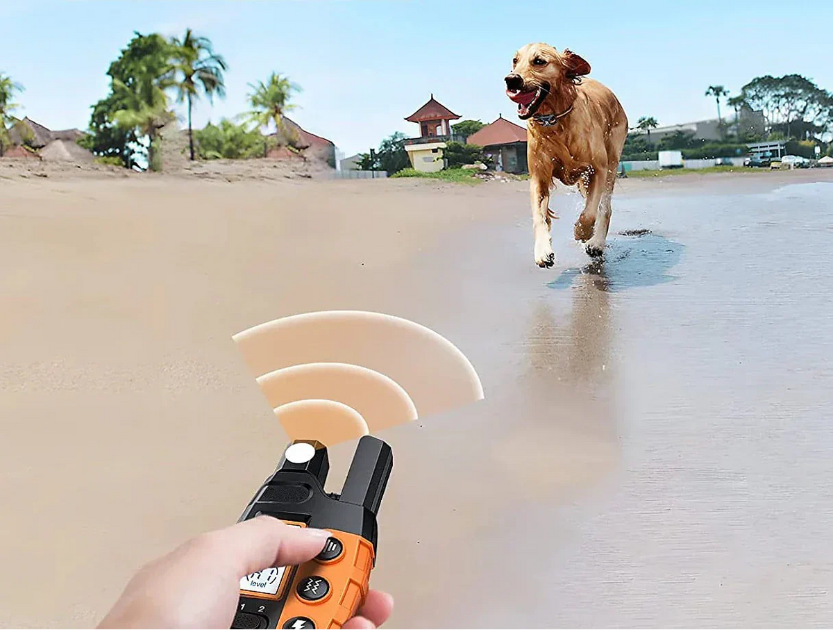 Remote Dog Training Collar – 1000m Range, Waterproof & Adjustable Modes