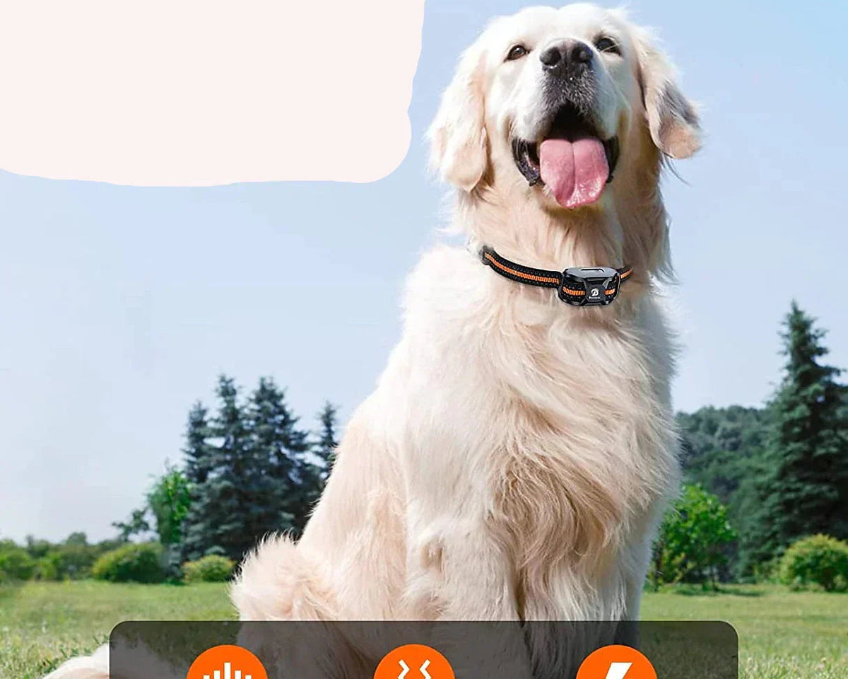 Remote Dog Training Collar – 1000m Range, Waterproof & Adjustable Modes